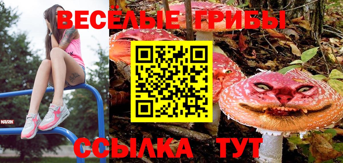 Галлюциногенные грибы GOLDEN TEACHER  Галлюциногенные грибы ЛСД  Нягань  Вход с VPN 